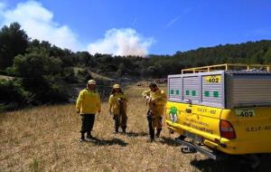 Un incendi calcina 1,3 hectàrees de torrent sec a Torrelavit