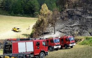 Un incendi calcina 1,3 hectàrees de torrent sec a Torrelavit
