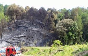 Un incendi calcina 1,3 hectàrees de torrent sec a Torrelavit