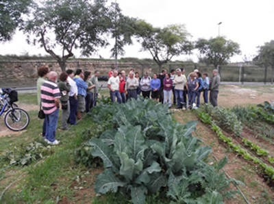 Ajuntament de Vilanova. Vilanova obre la convocatòria per optar als horts socials ecològics