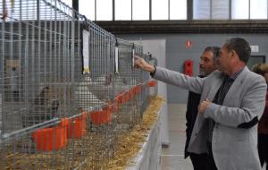 Xè Campionat espanyol d’avicultura, colombicultura i cunicultura de raça convocat a Vilafranca. Ajuntament de Vilafranca