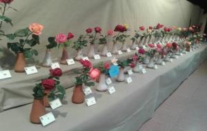 20è Concurs de roses del Vendrell