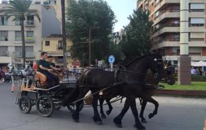 35 carruatges van participar aquest dissabte a la III Festa del Cavall. EIX