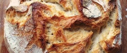 Presentació de La Cuina del Comú Coop. i la Fleca l'Aresta