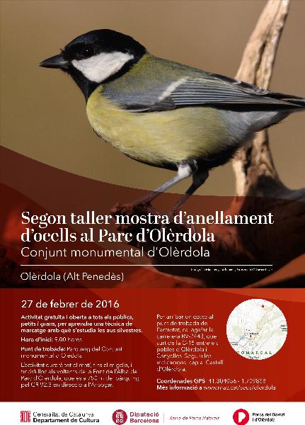 2on Taller d'anellament d'ocells a Olèrdola
