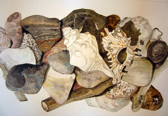 “Miranti Natura”, les aquarel·les d’Assun Savall