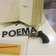 Dia+Mundial+de+la+Poesia+a+la+Biblioteca+P%c3%bablica+Terra+Baixa+