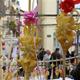 Setmana+Santa+i+Pasqua+2016+a+Sant+Sadurn%c3%ad