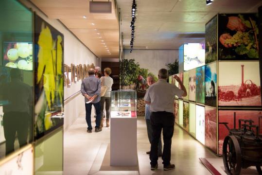 Dia Internacional dels Museus 2016 a VINSEUM