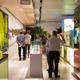 Dia+Internacional+dels+Museus+2016+a+VINSEUM