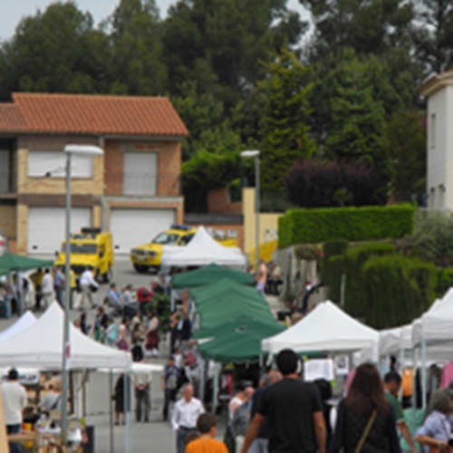 Festa del Medi Ambient