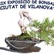 XIX+Exposici%c3%b3+de+Bonsais+%27Ciutat+de+Vilanova%27
