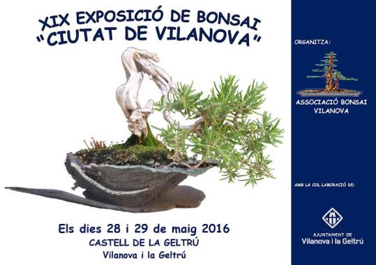  XIX Exposició de Bonsais 