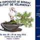 +XIX+Exposici%c3%b3+de+Bonsais+%22Ciutat+de+Vilanova%22