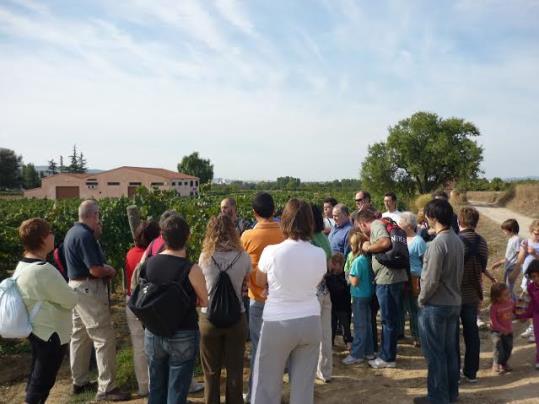 Itinerari guiat entre vinyes a Sant Pau