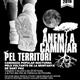 Caminada+nocturna+a+la+muntanya+de+Sant+Pau