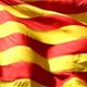 Commemoraci%c3%b3+de+l%27Onze+de+setembre+a+Avinyonet+del+Pened%c3%a8s
