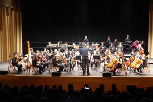 Concert de Sant Esteve, amb Camerata Eduard Toldrà i Orquestra Simfònica Mestre Montserrat