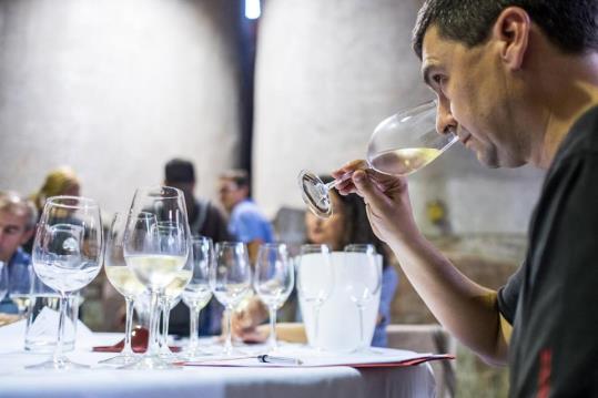 Gala de lliurament dels premis Vinari 2016