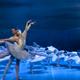 El+Lago+de+los+cisnes%2c+per+St.+Petersburg+Festival+Ballet