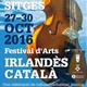 4t+Festival+Irlanda+-+Catalunya+%27Creative+Connexions%e2%80%99
