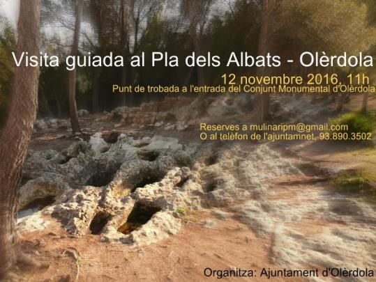 Vista guiada al Pla dels Albats