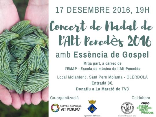 Concert de Nadal de l'Alt Penedès