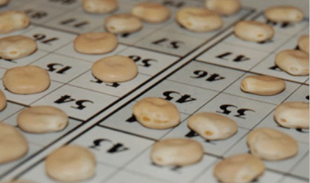 Quinto Nadal dels Falcons de Vilanova