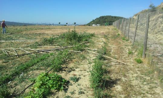 Arrenquen arbres i fan altres destrosses a la muntanya de Sant Jaume. Ajuntament de Vilafranca