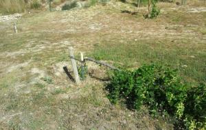 Arrenquen arbres i fan altres destrosses a la muntanya de Sant Jaume