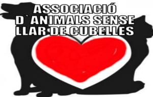 Associació d'animals sense llar. Eix