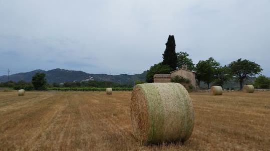 Camps segats a Viladellops (Alt Penedès). Francisco Lorenzo