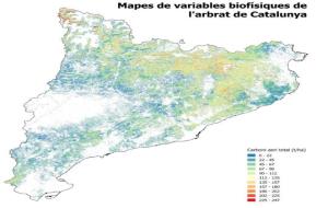 Catalunya disposa dels primers mapes d'alta resolució de boscos generats a partir de dades làser. EIX
