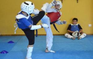 Club Taekwondo La Lira Vendrellenca. Eix