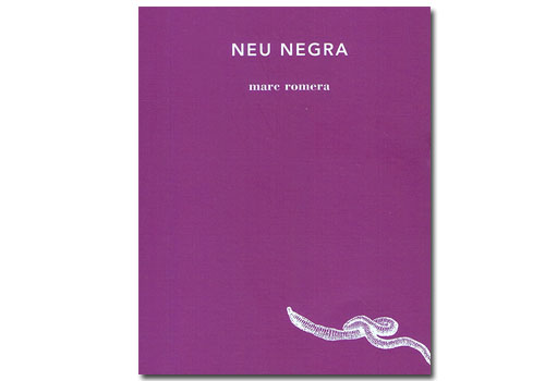 Coberta 'Neu negra'. Eix