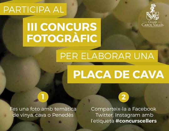 Concurs fotogràfic Cellers Carol Vallès . Eix