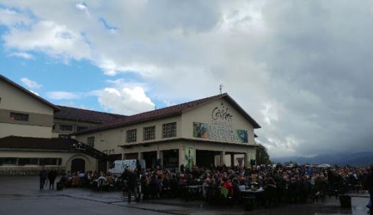 Covides celebra la 50ena verema a la Festa del Soci. Covides