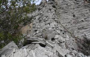 Detall de roques de guix, al Parc dels Talls de Vilobí del Penedès