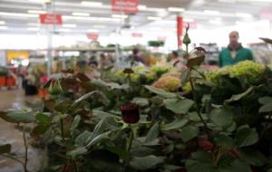 Detall de roses a una parada del Mercat de Flor i Planta Ornamental de Catalunya