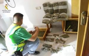 Dos detinguts per cultivar marihuana en un habitatge de Calafell. Guàrdia Civil