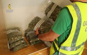 Dos detinguts per cultivar marihuana en un habitatge de Calafell