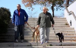Dues persones baixant les escales d'un parc a Sitges mentre passegen dos gossos