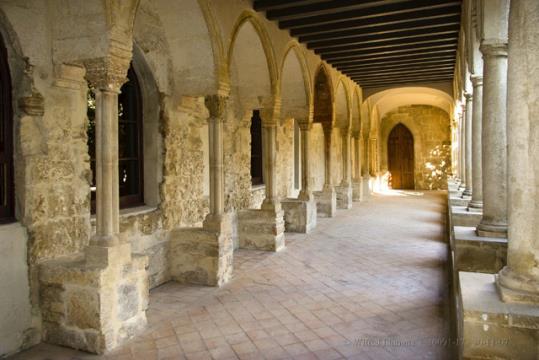 El Claustre de Sant Francesc, memòria de l’antic convent de Vilafranca. Ajuntament de Vilafranca