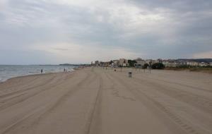 El Club Català de Naturisme reinvindica una platja nudista a les Madrigueres del Vendrell