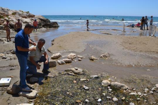 El Col·legi de Geologia de Catalunya visita el broll d'aigua dolça de Sitges. Ajuntament de Sitges