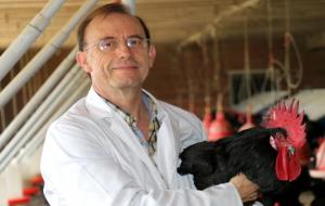 El Concurs de la Raça de la Gallina Penedesenca serà en memorial a Amadeu Francesch. Ajuntament de Vilafranca