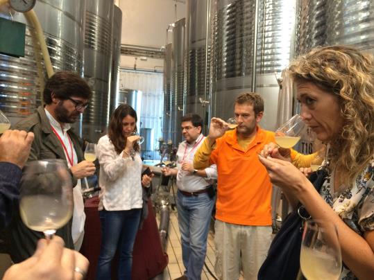 El Curs de Formador en Cava ha format enguany a 23 professionals. Institut del Cava