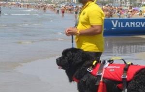 El Grup de Rescat Aquàtic Caní busca fons per a equipar els gossos socorrista. EIX