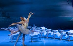El lago de los cisnes, del Saint Petersburg Festival Ballet