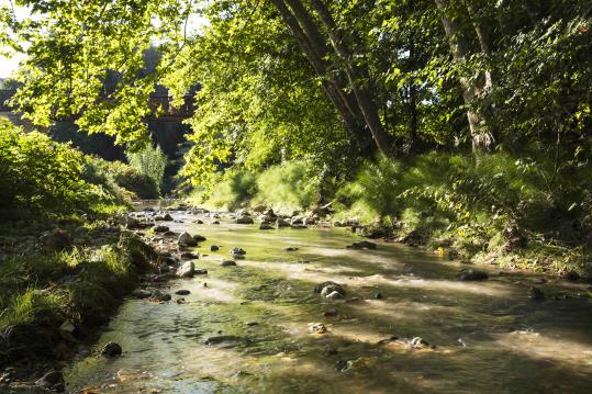 El riu Bitlles, al seu pas a Torrelavit. Ajuntament de Torrelavit